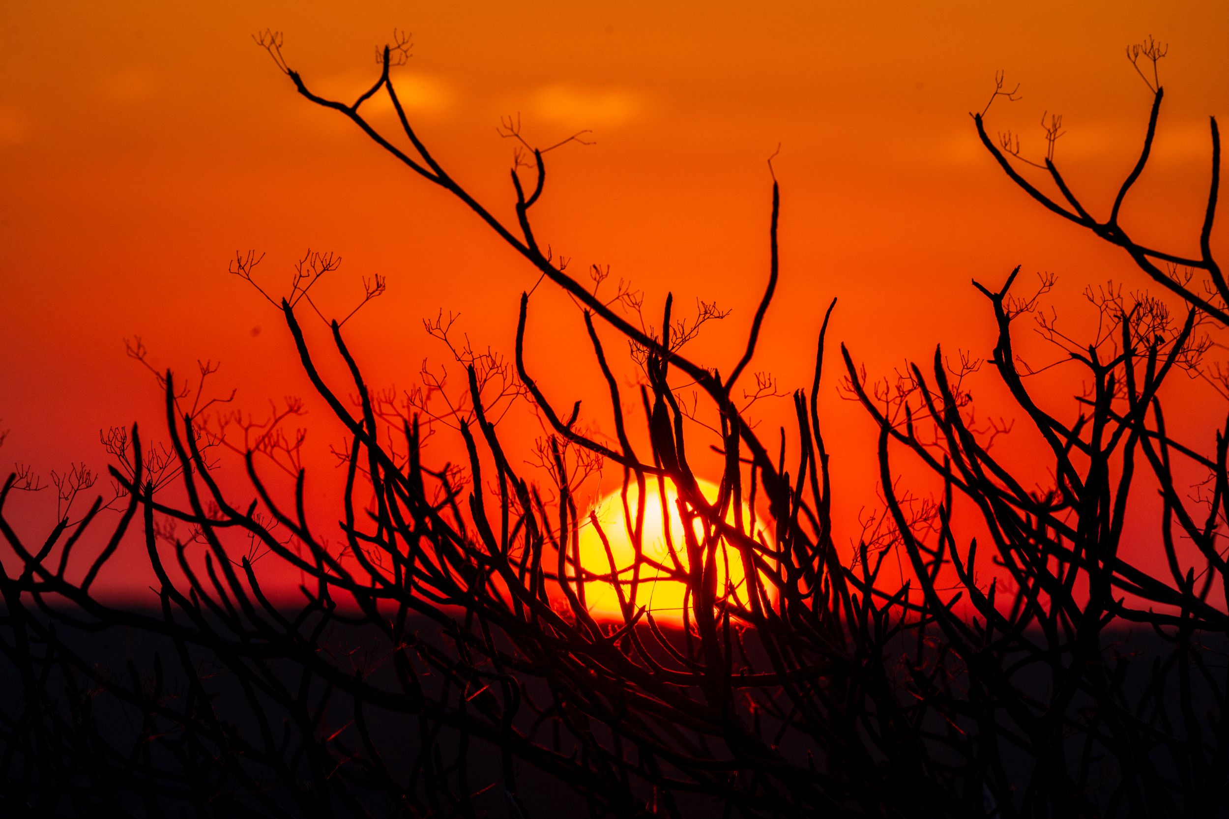 20231005 174934 Fotobuch Südafrika 04736